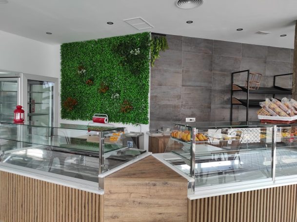 Mostrador de helados moderno con decoración de plantas y estanterías vacías.